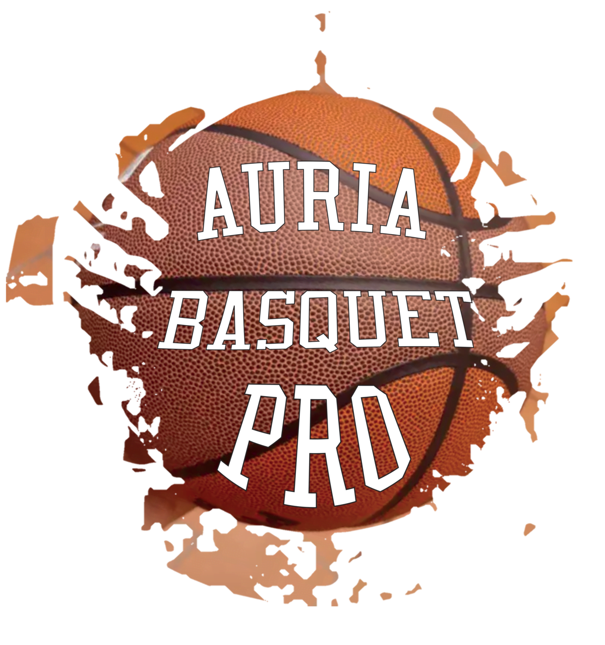 Auria Basquet Pro